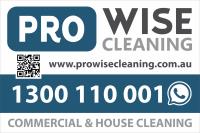 ProWise Cleaning image 2